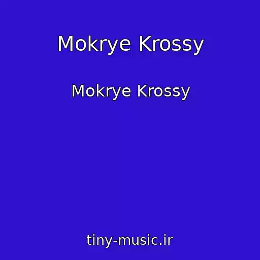 کاور آهنگ Mokrye Krossy از Mokrye Krossy