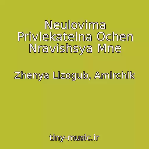 کاور آهنگ Neulovima Privlekatelna Ochen Nravishsya Mne از Zhenya Lizogub, Amirchik
