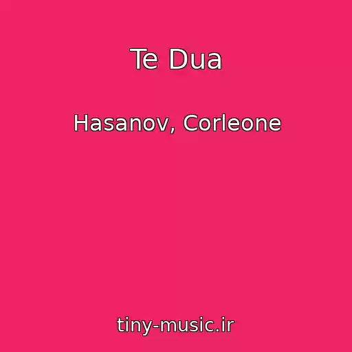 کاور آهنگ Te Dua از Hasanov, Corleone