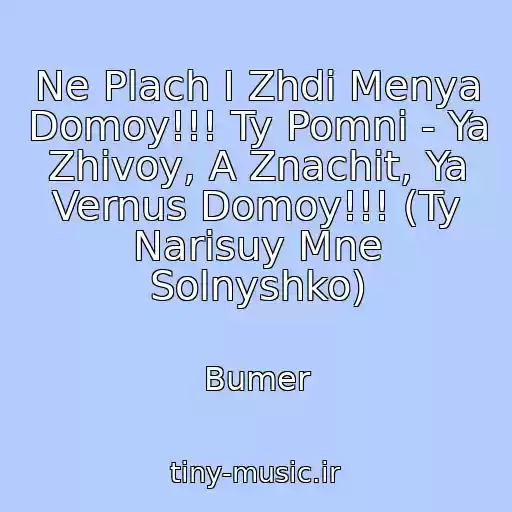 کاور آهنگ Ne Plach I Zhdi Menya Domoy!!! Ty Pomni - Ya Zhivoy, A Znachit, Ya Vernus Domoy!!! (Ty Narisuy Mne Solnyshko) از Bumer