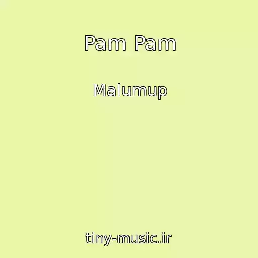 کاور آهنگ Pam Pam از Malumup