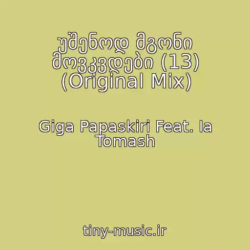 کاور آهنگ უშენოდ მგონი მოვკვდები (13) (Original Mix) از Giga Papaskiri Feat. Ia Tomash