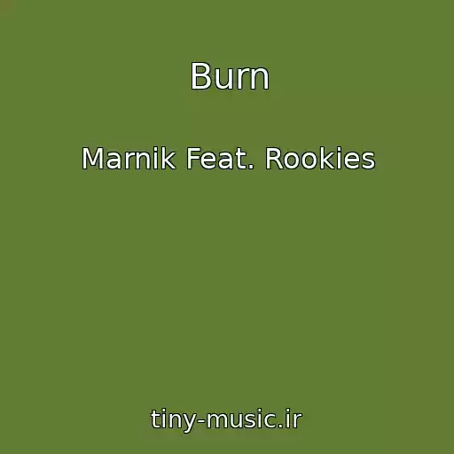 کاور آهنگ Burn از Marnik Feat. Rookies
