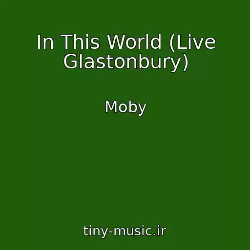 کاور آهنگ In This World (Live Glastonbury) از Moby