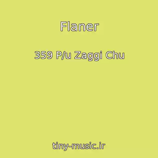 کاور آهنگ Flaner از 359 P/u Zaggi Chu