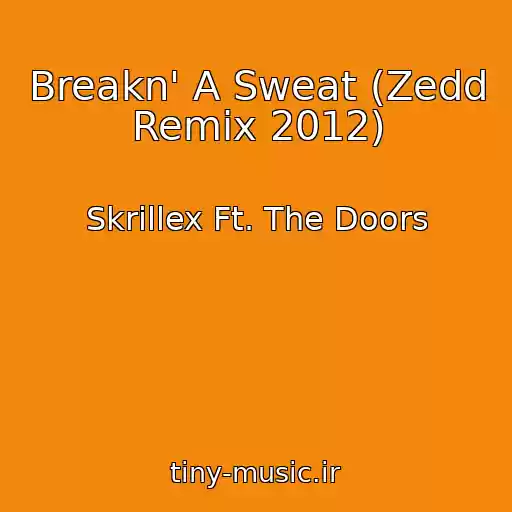 کاور آهنگ Breakn' A Sweat (Zedd Remix 2012) از Skrillex Ft. The Doors