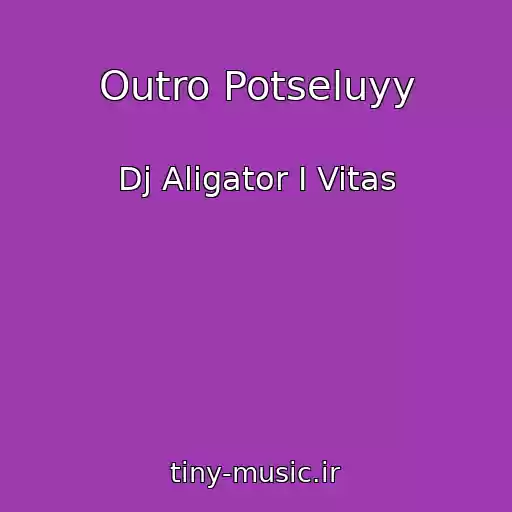 کاور آهنگ Outro Potseluyy از Dj Aligator I Vitas