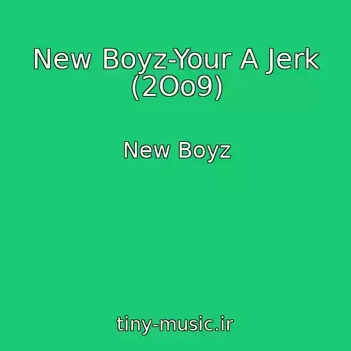 کاور آهنگ New Boyz-Your A Jerk (2Oo9) از New Boyz