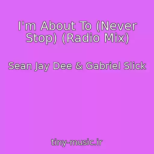 کاور آهنگ I'm About To (Never Stop) (Radio Mix) از Sean Jay Dee & Gabriel Slick