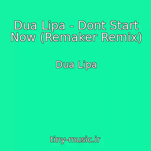 کاور آهنگ Dua Lipa - Dont Start Now (Remaker Remix) از Dua Lipa