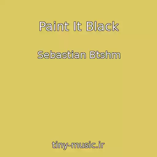 کاور آهنگ Paint It Black از Sebastian Btshm