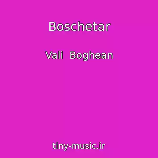 کاور آهنگ Boschetar از Vali  Boghean