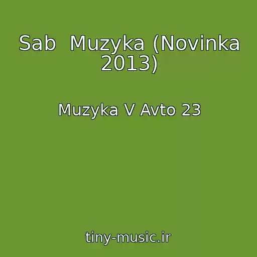کاور آهنگ Sab  Muzyka (Novinka 2013) از Muzyka V Avto 23