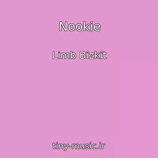 کاور آهنگ Nookie از Limb Bizkit