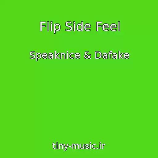 کاور آهنگ Flip Side Feel از Speaknice & Dafake