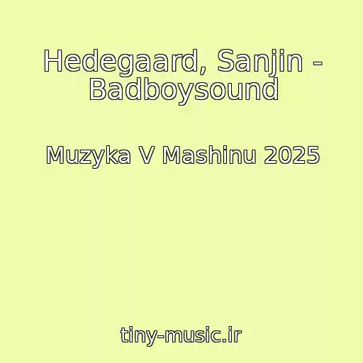 کاور آهنگ Hedegaard, Sanjin - Badboysound از Muzyka V Mashinu 2025