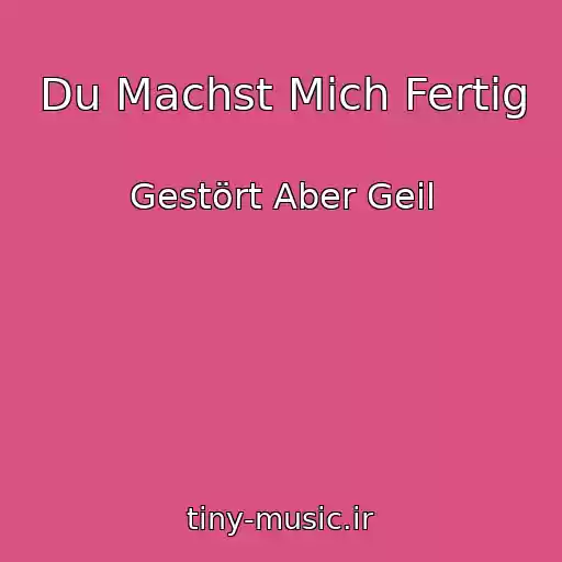 کاور آهنگ Du Machst Mich Fertig از Gestört Aber Geil