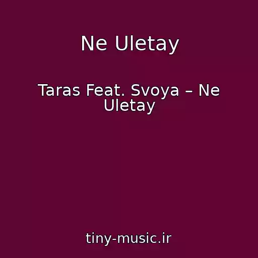 کاور آهنگ Ne Uletay از Taras Feat. Svoya – Ne Uletay