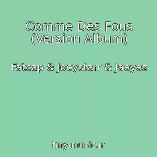 کاور آهنگ Comme Des Fous (Version Album) از Fatcap & Joeystarr & Jaeyez