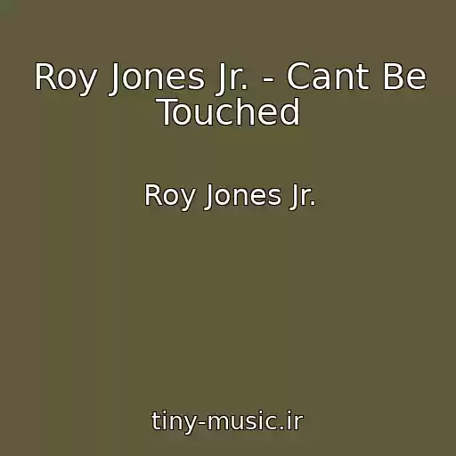کاور آهنگ Roy Jones Jr. - Cant Be Touched از Roy Jones Jr.