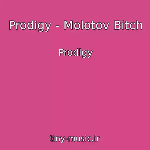 کاور آهنگ Prodigy - Molotov Bitch از Prodigy