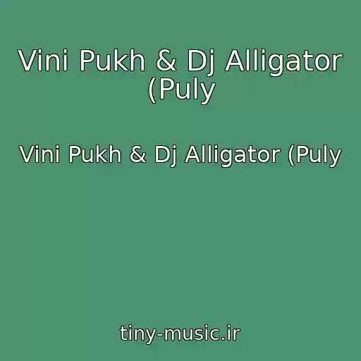 کاور آهنگ Vini Pukh & Dj Alligator (Puly از Vini Pukh & Dj Alligator (Puly