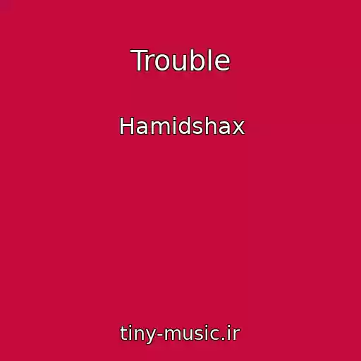 کاور آهنگ Trouble از Hamidshax