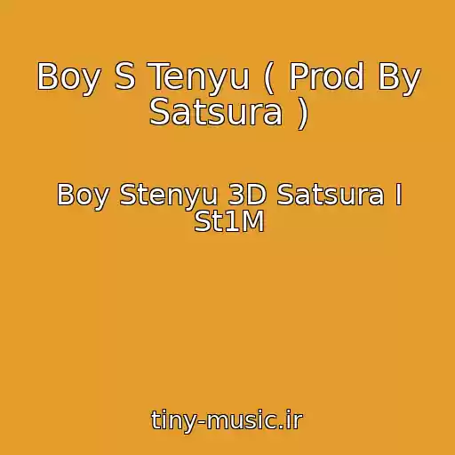 کاور آهنگ Boy S Tenyu ( Prod By Satsura ) از Boy Stenyu 3D Satsura I St1M