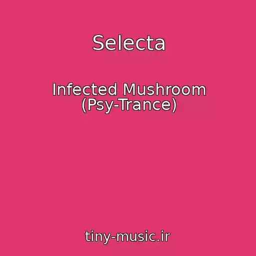 کاور آهنگ Selecta از Infected Mushroom (Psy-Trance)