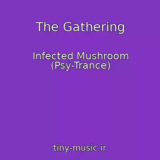 کاور آهنگ The Gathering از Infected Mushroom (Psy-Trance)