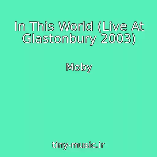 کاور آهنگ In This World (Live At Glastonbury 2003) از Moby