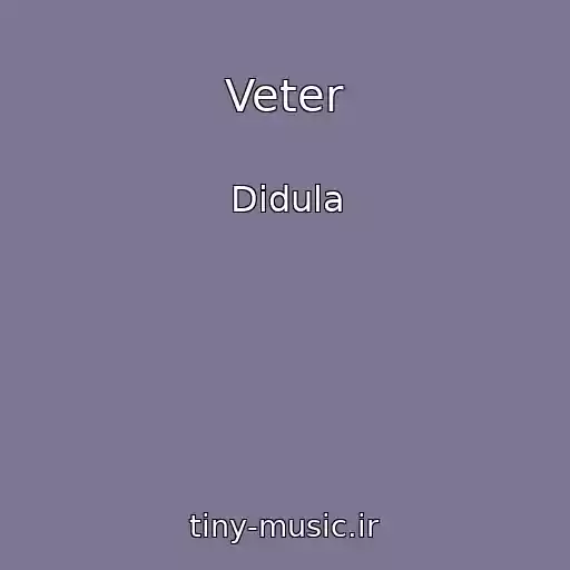 کاور آهنگ Veter از Didula