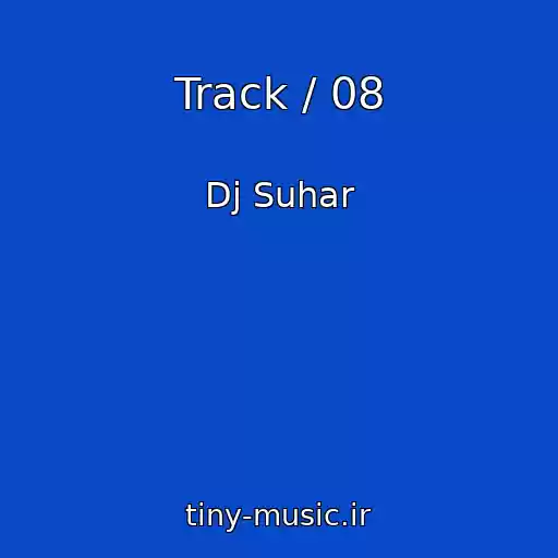 کاور آهنگ Track / 08 از Dj Suhar