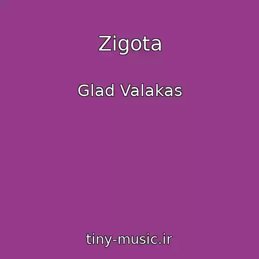 کاور آهنگ Zigota از Glad Valakas