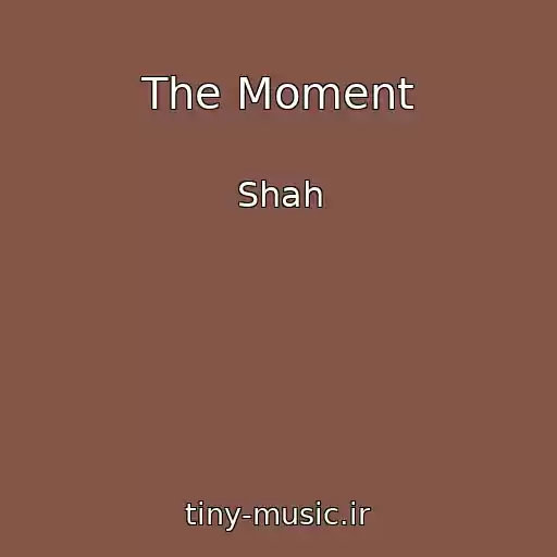 کاور آهنگ The Moment از Shah