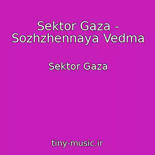 کاور آهنگ Sektor Gaza - Sozhzhennaya Vedma از Sektor Gaza