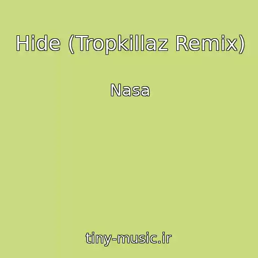 کاور آهنگ Hide (Tropkillaz Remix) از Nasa