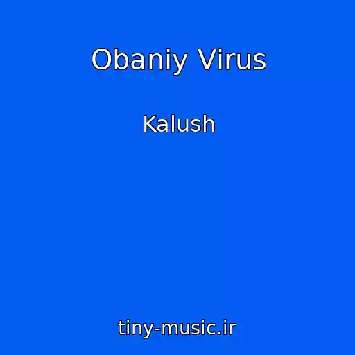 کاور آهنگ Obaniy Vіrus از Kalush