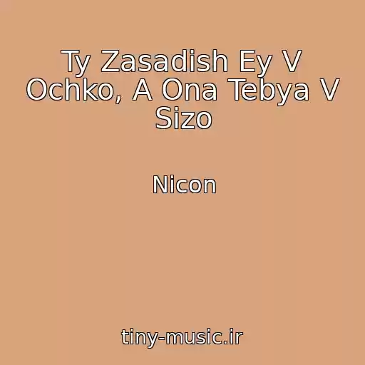 کاور آهنگ Ty Zasadish Ey V Ochko, A Ona Tebya V Sizo از Nicon