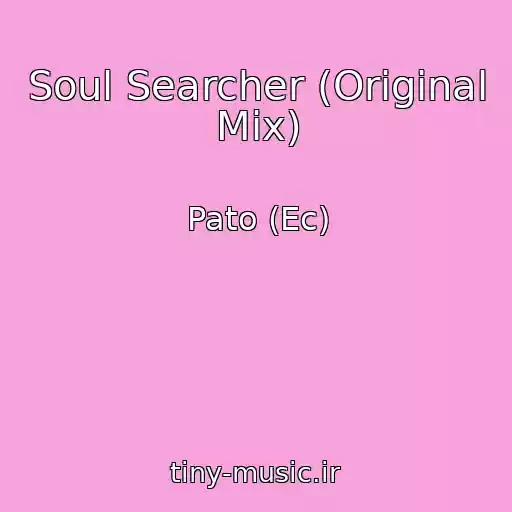 کاور آهنگ Soul Searcher (Original Mix) از Pato (Ec)