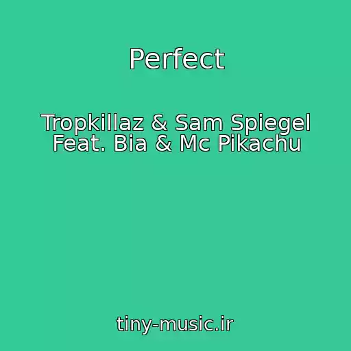 کاور آهنگ Perfect از Tropkillaz & Sam Spiegel Feat. Bia & Mc Pikachu