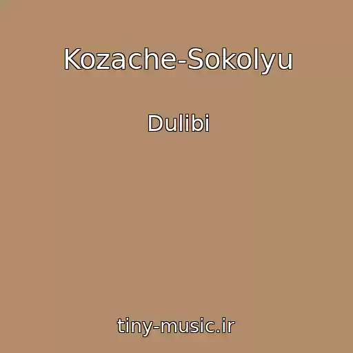 کاور آهنگ Kozache-Sokolyu از Dulіbi