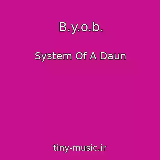 کاور آهنگ B.y.o.b. از System Of A Daun
