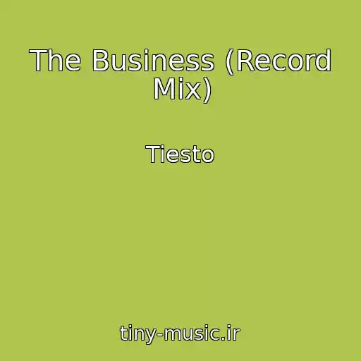 کاور آهنگ The Business (Record Mix) از Tiesto