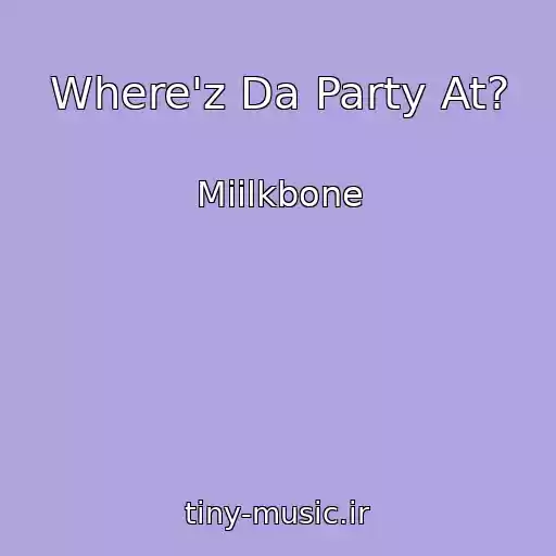 کاور آهنگ Where'z Da Party At? از Miilkbone