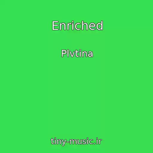 کاور آهنگ Enriched از Plvtina
