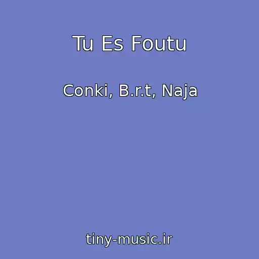 کاور آهنگ Tu Es Foutu از Conki, B.r.t, Naja