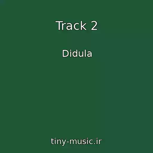 کاور آهنگ Track 2 از Didula