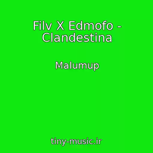 کاور آهنگ Filv X Edmofo - Clandestina از Malumup