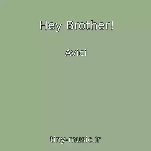 کاور آهنگ Hey Brother! از Avici